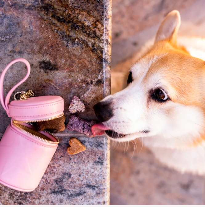 New Dog Treat Bags Coming Soon!