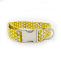 Mellow Yellow Stylish Dog Collar